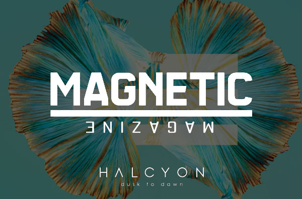 MAGNETIC MAGAZINE - RVDIOVCTIVE PRESENTS: AMINE EDGE & DANCE, ANT LAROCK AT HALCYON SF