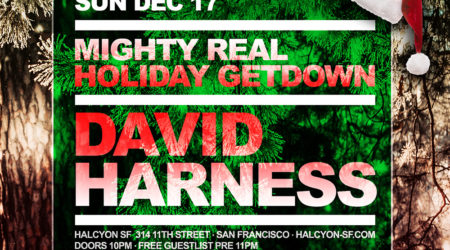 Dec 17 - David Harness at Halcyon