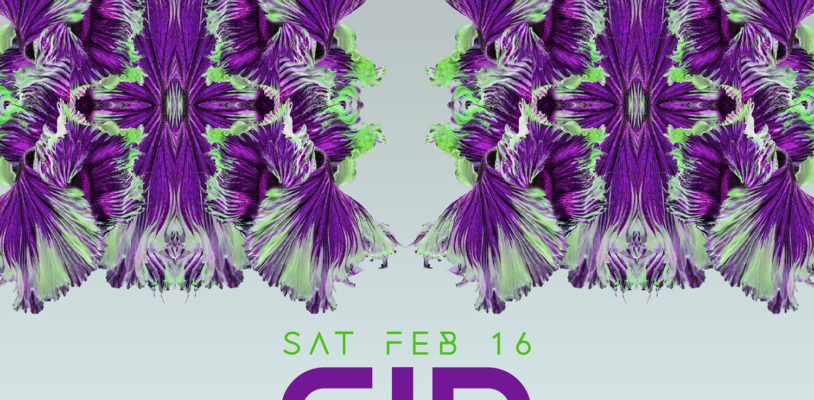 Sat Feb 16 - CID