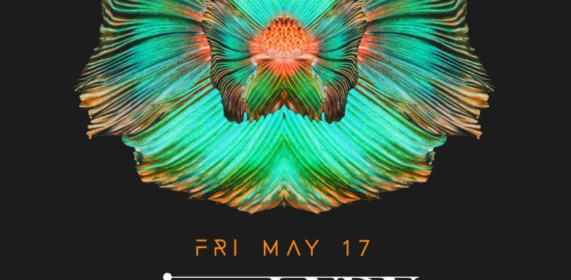 Fri May 17 - jackLNDN