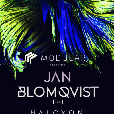 NOV 25 // JAN BLOMQVIST