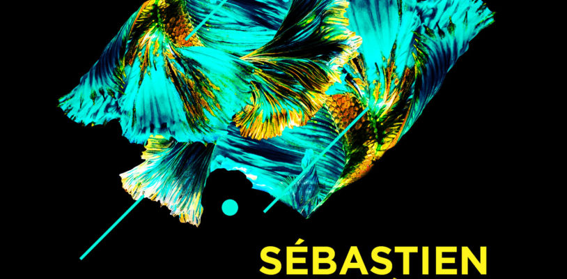 Fri Nov 29 - Sébastien Léger