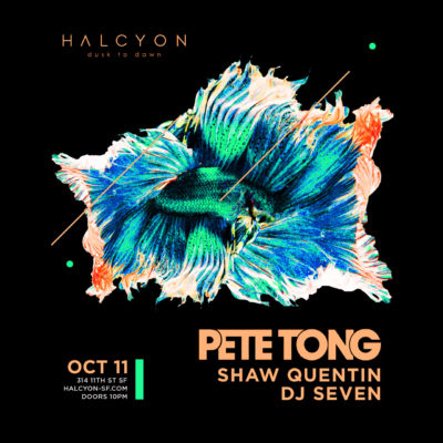 Fri Oct 11 - Pete Tong
