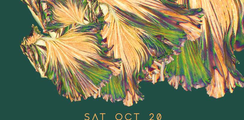 Sat Oct 20 - Oliver Dollar
