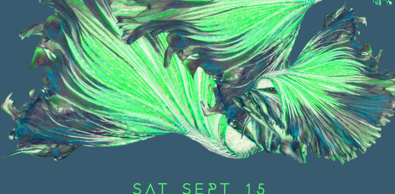 Sat Sept 15 - Archie Hamilton