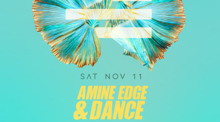 Nov 11 - Amine Edge & Dance at Halcyon